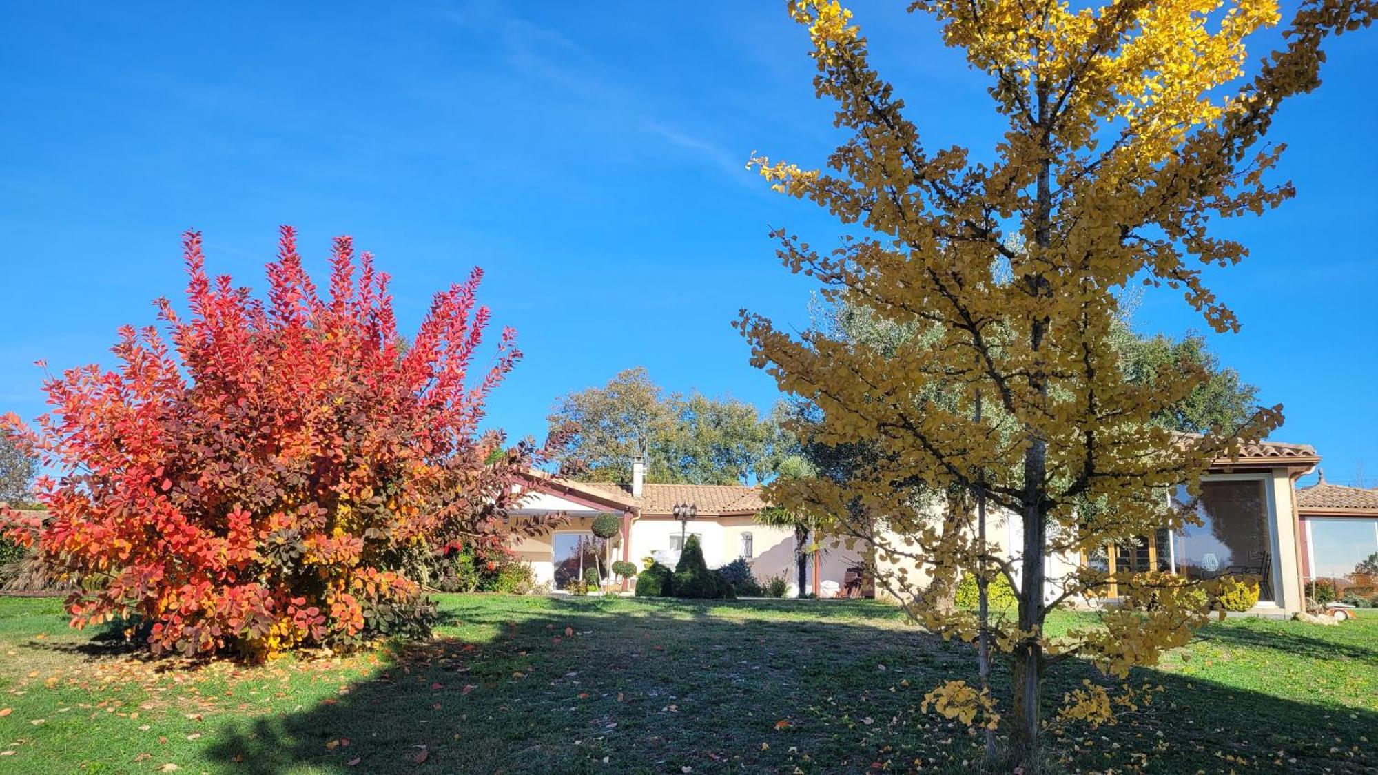 Le Clos Castel - Gite Equipe Casteljaloux Exterior photo